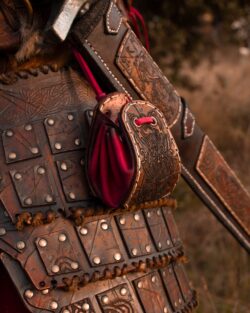 Bolsa Vikinga