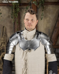 Dungeons & Dragons Steel Pauldrons polished