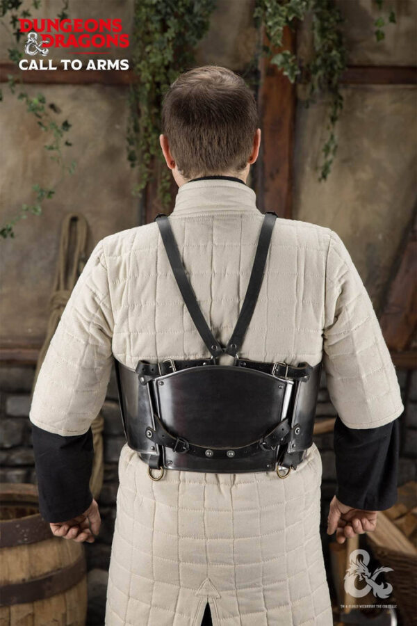 Dungeons & Dragons Steel Torso polished - Imagen 2