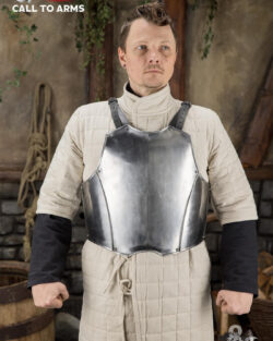 Dungeons & Dragons Steel Torso polished