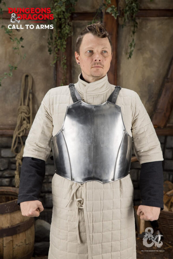 Dungeons & Dragons Steel Torso polished