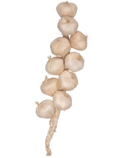 Mytholon - Kevin garlic