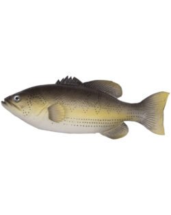 Mytholon - Bodo Barsch