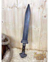 12.0_BW-SUTR_DAGA_plata-1