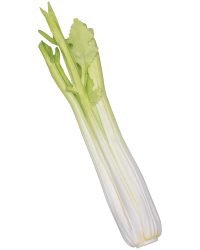 Mytholon - Siggi celery