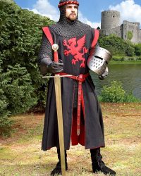 falworth-surcoat-106051-waffenrock-falworth-tunic