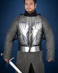 gotischer-kuerass-poliert.Vvaxhe.7imdTC_700x1050_crop_center