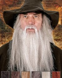 wizard-professional-beard-mw-100745-1-color